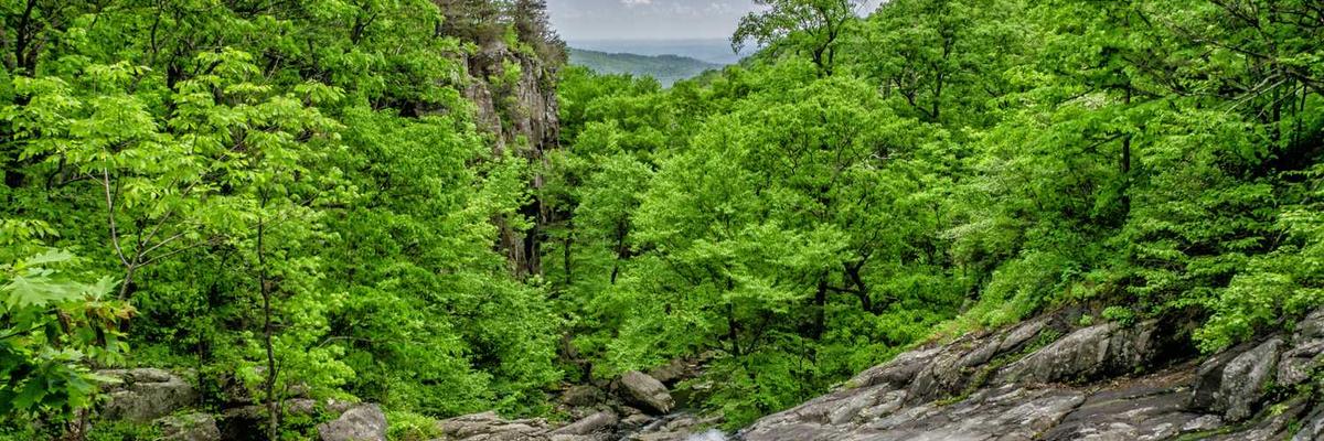 熱門免費行情9.1網站不用下載官方版下載-免費行情9.1網站不用下載正版v1.3.5-視頻動漫網站入口大全在線免費推薦